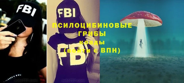 МДПВ Абаза