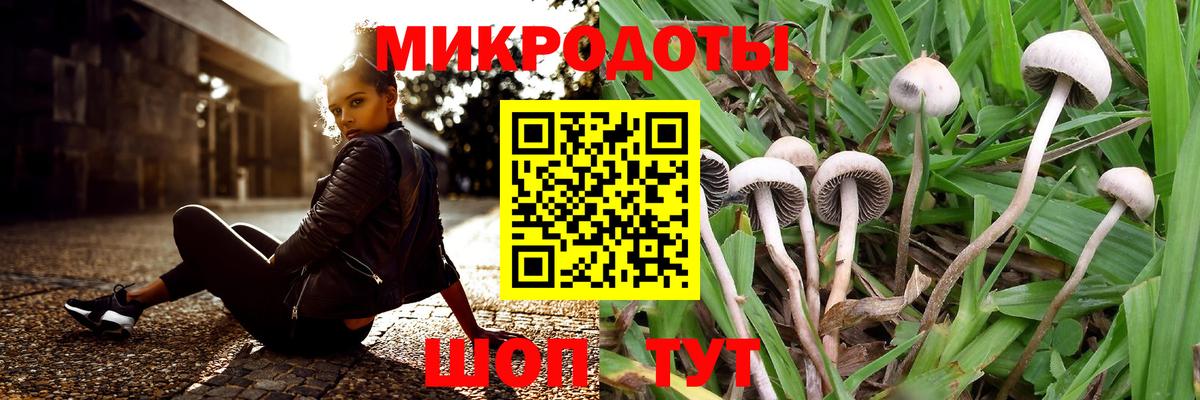 Камышлов  Галлюциногенные грибы мухоморы  Вход с VPN 