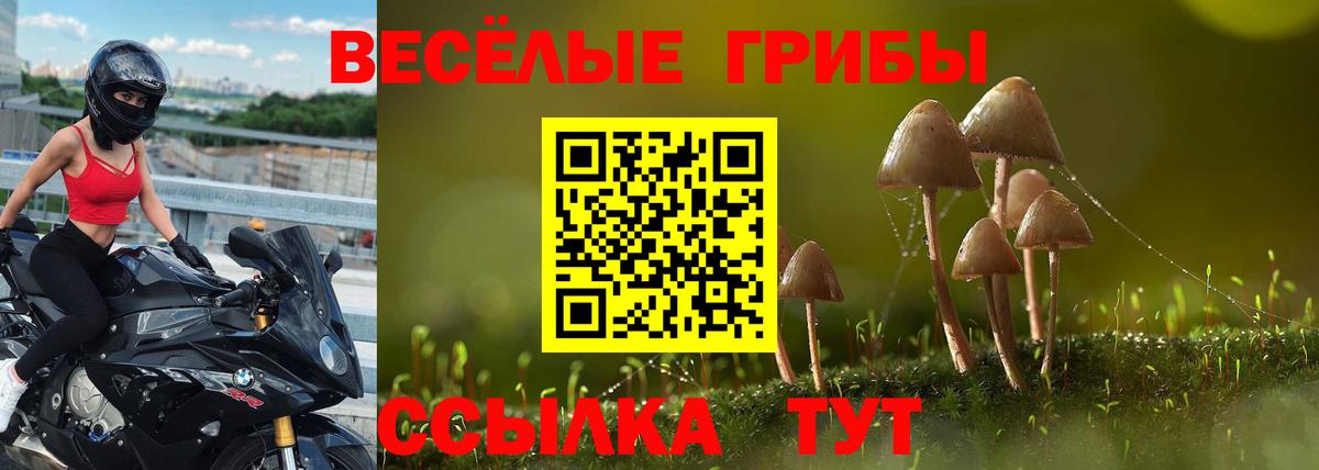 Псилоцибиновые грибы MAGIC MUSHROOMS Камышлов